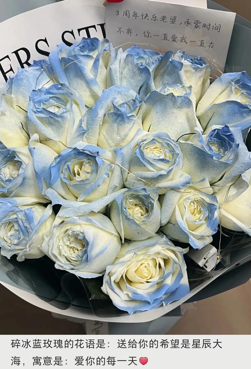 手捧花碎冰兰的寓意是什么？如何挑选寓意美好的碎冰兰？