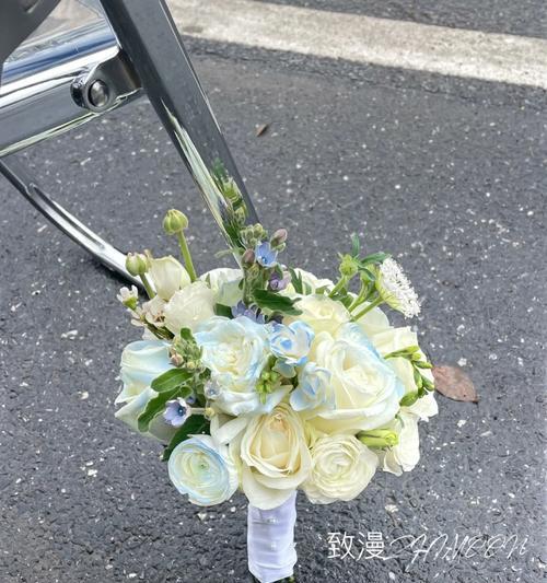 手捧花碎冰兰的寓意是什么？如何挑选寓意美好的碎冰兰？