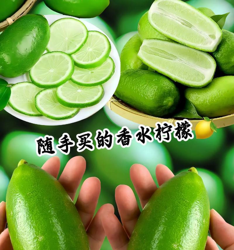 柠檬的花语是什么意思？如何用在特殊场合表达情感？