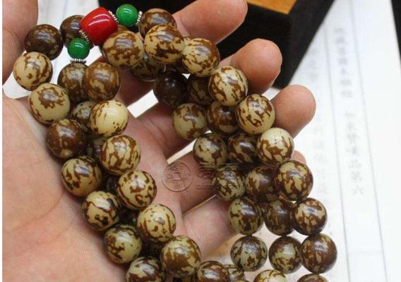 富贵花菩提子的寓意是什么？如何正确理解其象征意义？