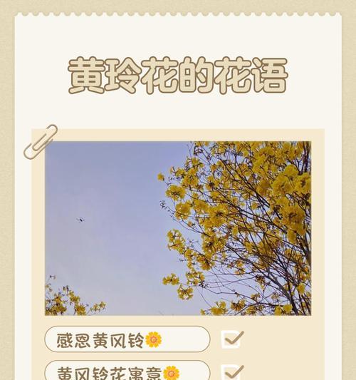 风铃的寓意象征是什么意思花？如何挑选寓意吉祥的风铃？