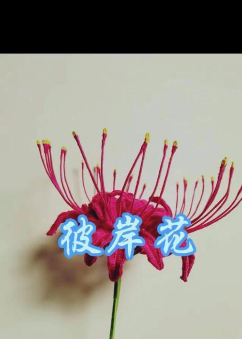 彼岸花的花语和寓意是什么？如何理解彼岸花的深层含义？