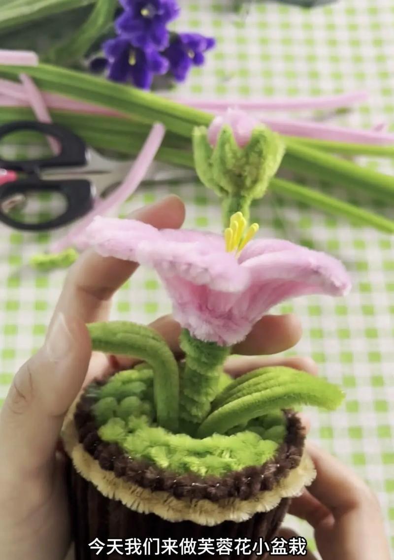 扭扭棒芙蓉花的寓意是什么？如何用它表达情感？