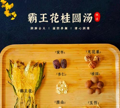 霸王花的花语象征意义是什么？霸王花代表了哪些美好寓意？