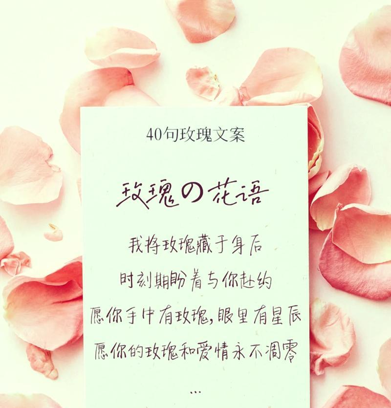 法国玫瑰大花语是什么？如何解读其浪漫含义？