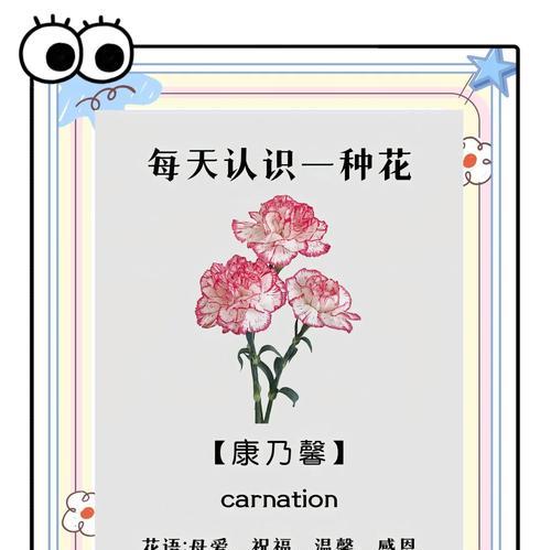 十五朵花语是什么？每朵花代表的含义有哪些？