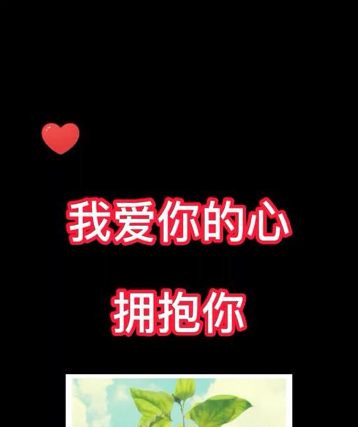 十五朵花语是什么？每朵花代表的含义有哪些？