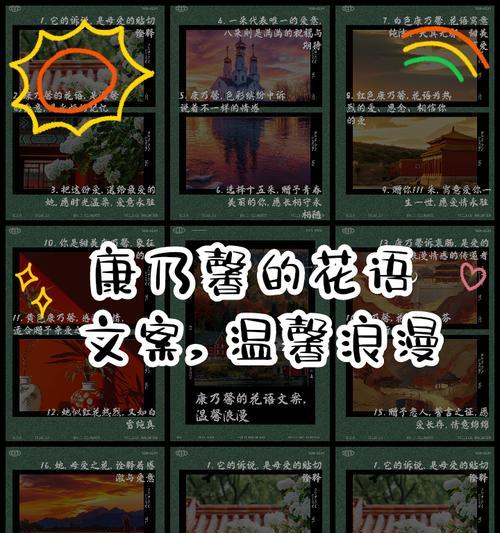 十五朵花语是什么？每朵花代表的含义有哪些？
