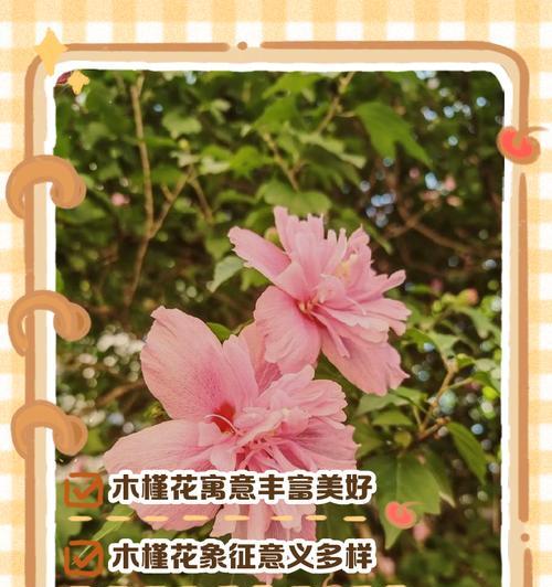 花漓的寓意和象征是什么？如何理解花漓的文化意义？