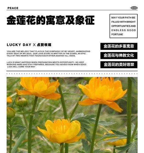 灯台花的寓意及象征是什么？了解其背后的文化含义？