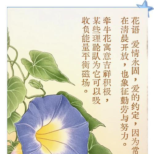 牵牛花的花语是什么？如何正确解读牵牛花的含义？