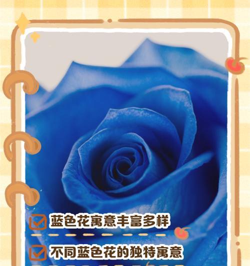 象征人生的蓝色花是什么花？蓝色花的花语有哪些含义？