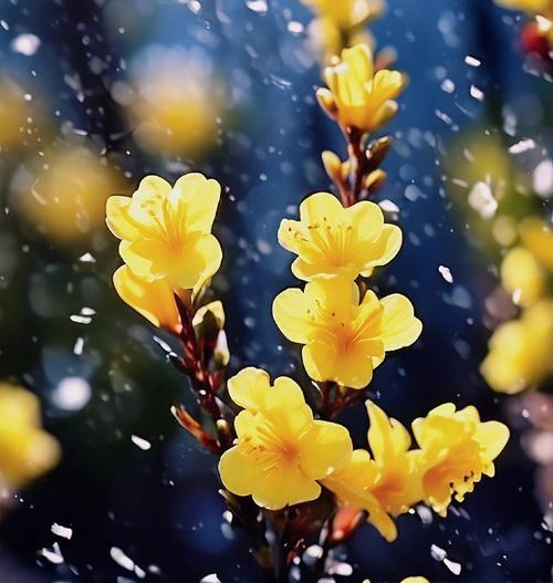 象神寓意象征爱情的花是什么？这种花的花语有哪些含义？