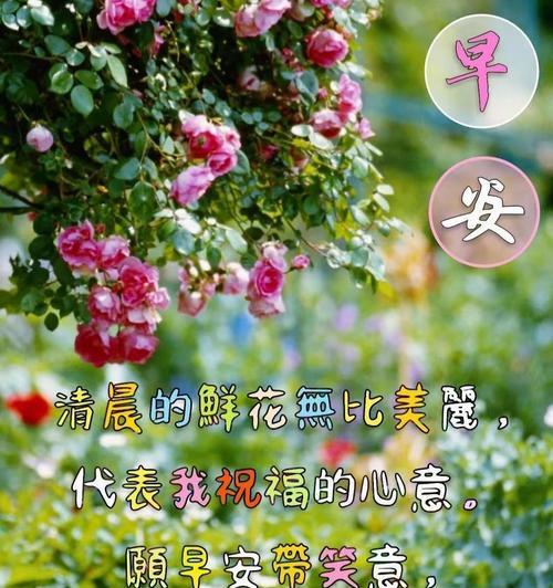 无处安放的花语是什么？如何正确解读花语含义？