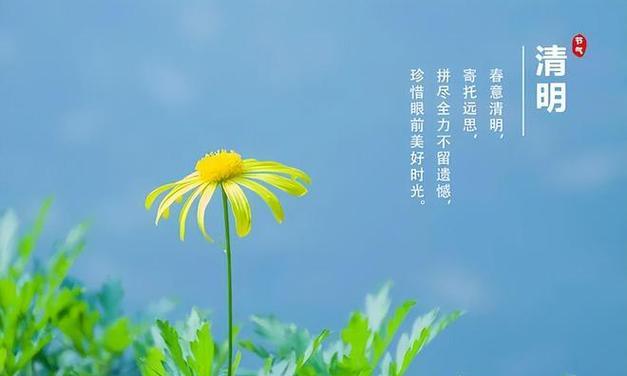 清明节带的花都有哪些寓意？清明节送花的含义是什么？