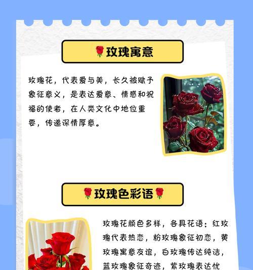 玉色玫瑰花象征意义是什么？玉色玫瑰花代表什么情感？
