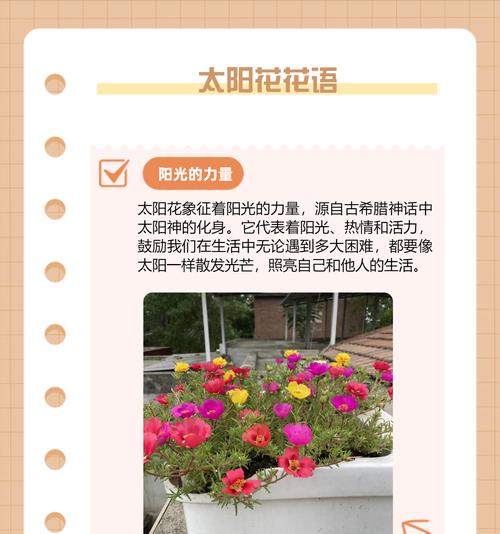 花语当中代表着什么？如何解读不同花朵的深层含义？