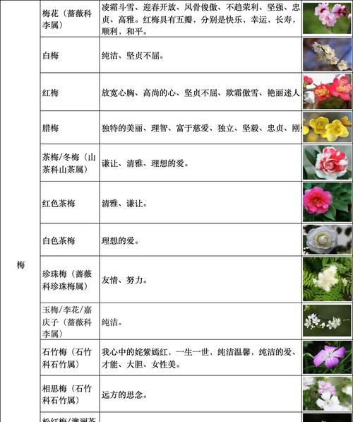 荷花的花语是什么？荷花代表的含义有哪些？