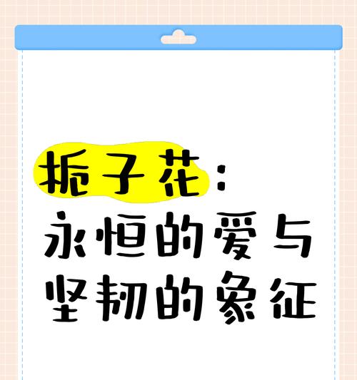 桅子花花语是什么？了解桅子花的象征意义和文化背景？