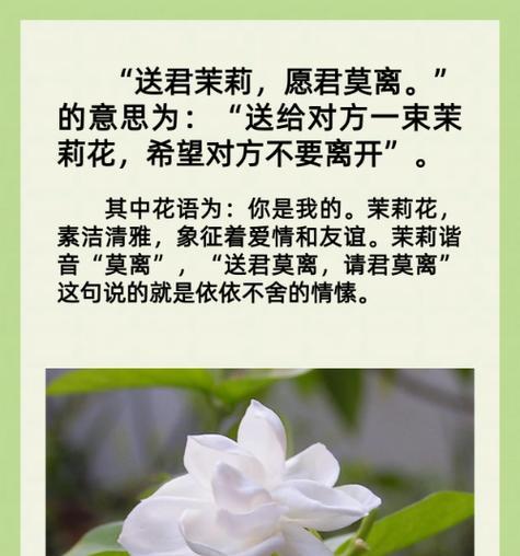 象征传承的花语是什么花？传承意义的花卉有哪些？