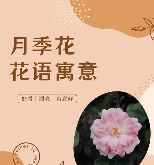 象征传承的花语是什么花？传承意义的花卉有哪些？