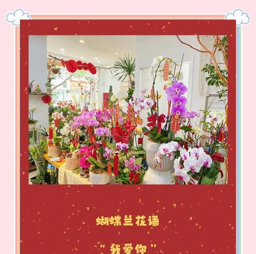 得到偏爱的花语是什么？如何用花表达爱意？