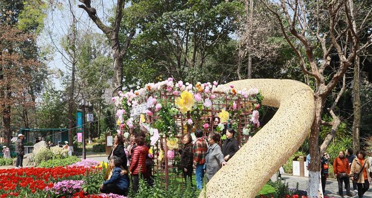 象征艺术节的花是什么花？如何选择合适的花卉来庆祝？