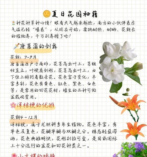花的花期象征意义是什么？如何解读不同花卉的花语？