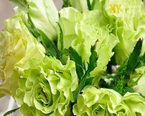 橘色绿色的花语分别是什么？如何正确理解它们的含义？