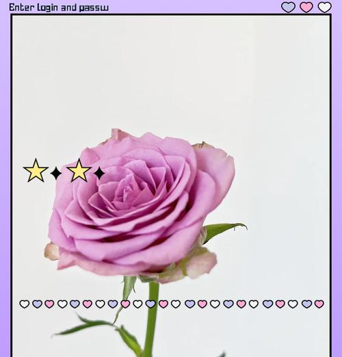 美人花花语寓意是什么？了解其背后的文化含义和象征意义？
