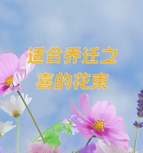 给孩子送百合花的寓意是什么？百合花在送礼中代表什么含义？