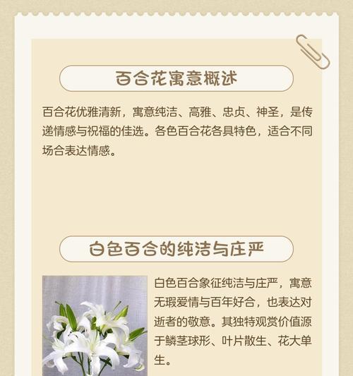 给孩子送百合花的寓意是什么？百合花在送礼中代表什么含义？