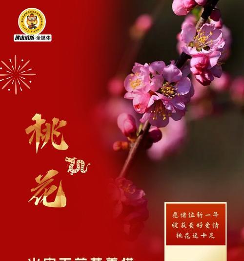 年花的寓意是什么？如何选择寓意吉祥的年花？