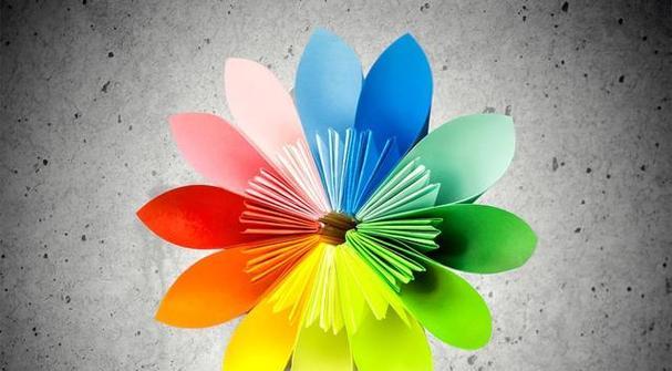 七色花代表的七种寓意是什么？每种颜色花语有何不同？