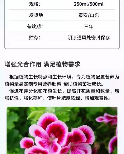 天竺葵感染真菌的处理方法有哪些？