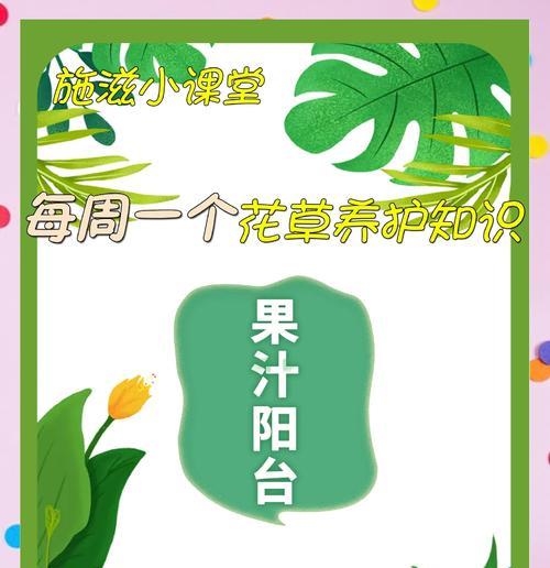 十楼阳台适合种植哪些花卉？养护要点是什么？