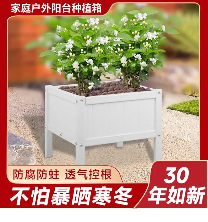 白刺玫栽培技术要点是什么？