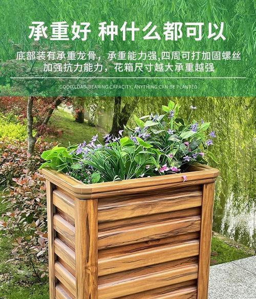 白刺玫栽培技术要点是什么？