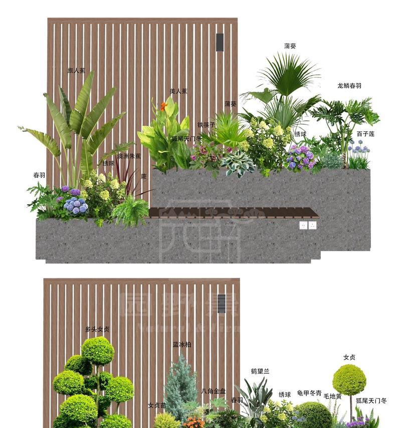 木本植物庭院花境养护技巧有哪些？