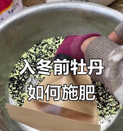 秋季牡丹施肥的管理技巧是什么？