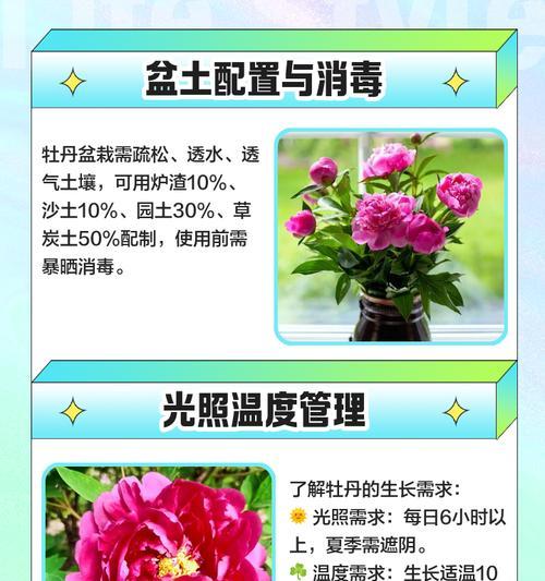 秋季牡丹施肥的管理技巧是什么？