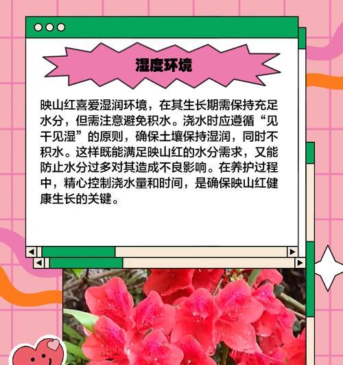 映山红浇水的最佳方法是什么？