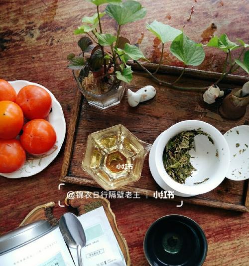 白如意叶子发黄焦叶的解决方法是什么？