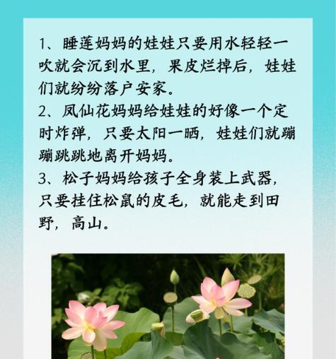 种子传播的常见方式和特点是什么？