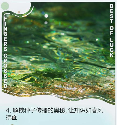 种子传播的常见方式和特点是什么？