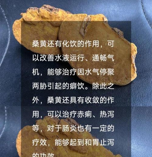 桑巴叶子发黄的解决方法是什么？