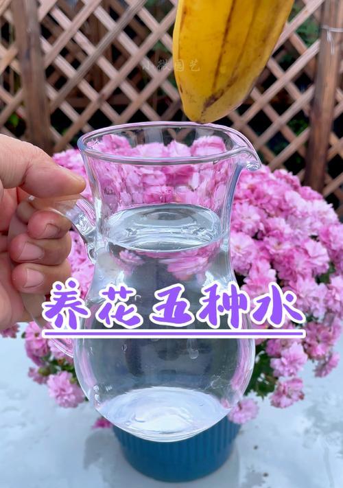 自制植物橘皮肥料的方法是什么？