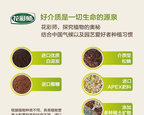 使用营养土扦插铁线莲好吗？养护方法和注意事项是什么？