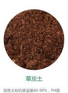 家庭如何自制草炭土肥料？步骤和注意事项是什么？
