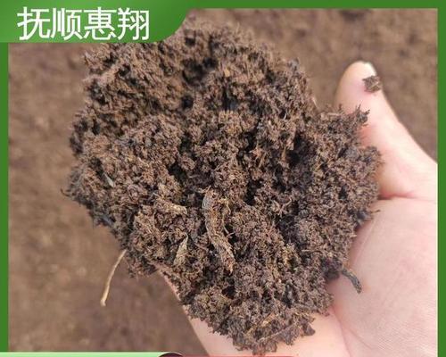 家庭如何自制草炭土肥料？步骤和注意事项是什么？